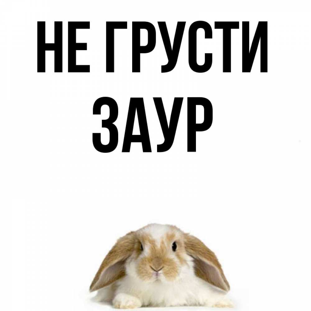 Открытка не грусти прорвемся, лет картинки