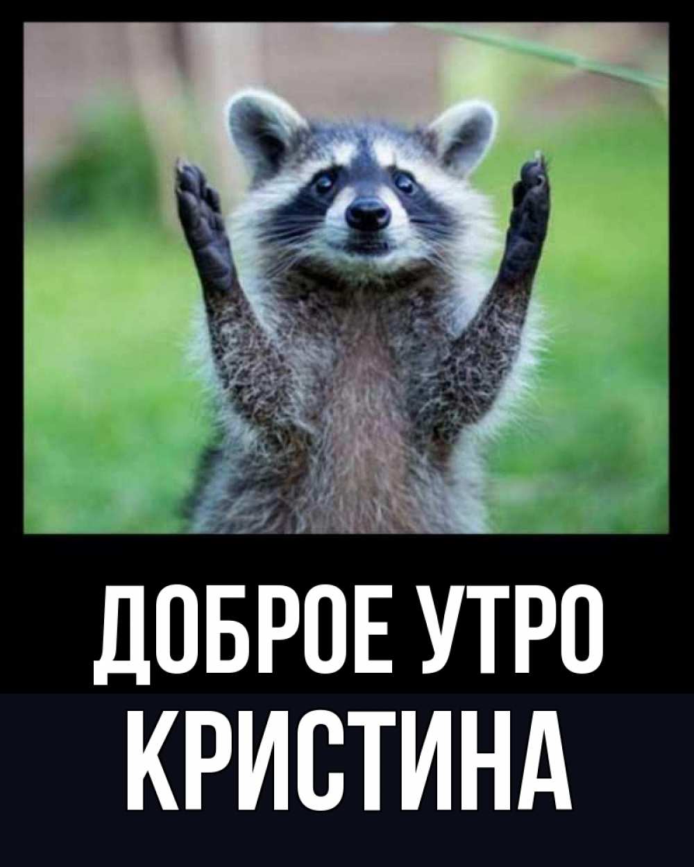 Открытка на каждый день с именем, КРИСТИНА Доброе утро хорошее настроение утречком Прикольная открытка с пожеланием онлайн скачать бесплатно 