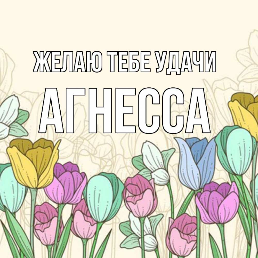 Открытка на каждый день с именем, Агнесса Желаю тебе удачи тюльпаны Прикольная открытка с пожеланием онлайн скачать бесплатно 