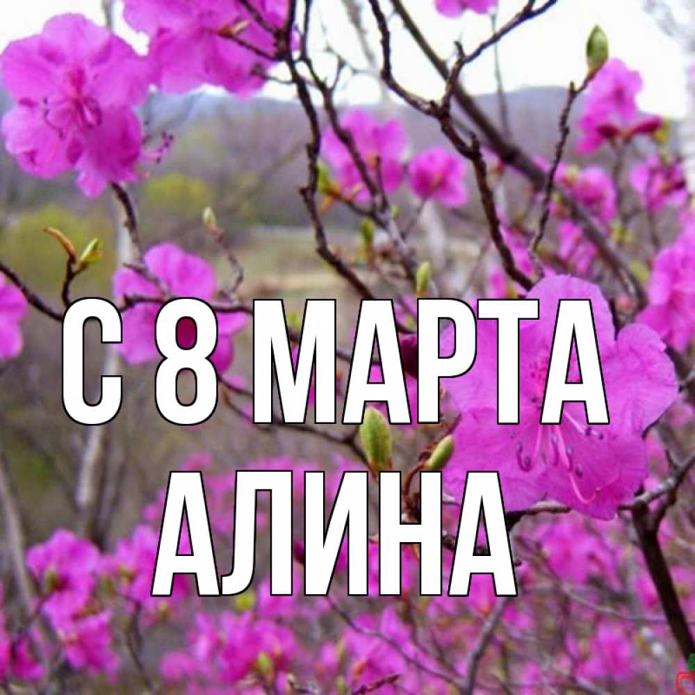 Открытка на каждый день с именем, Алина С 8 МАРТА международный женский день Прикольная открытка с пожеланием онлайн скачать бесплатно 
