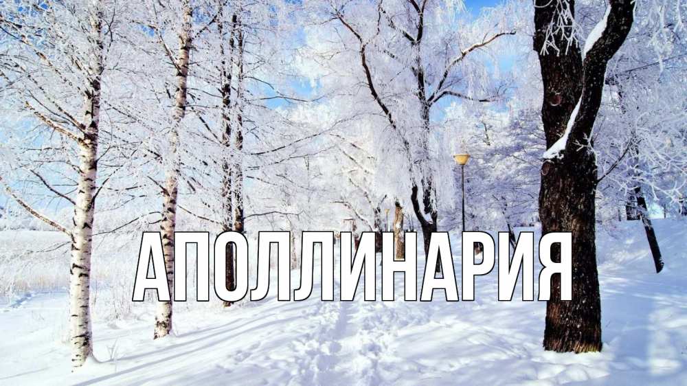 Открытка на каждый день с именем, Аполлинария Главная зимний лес Прикольная открытка с пожеланием онлайн скачать бесплатно 