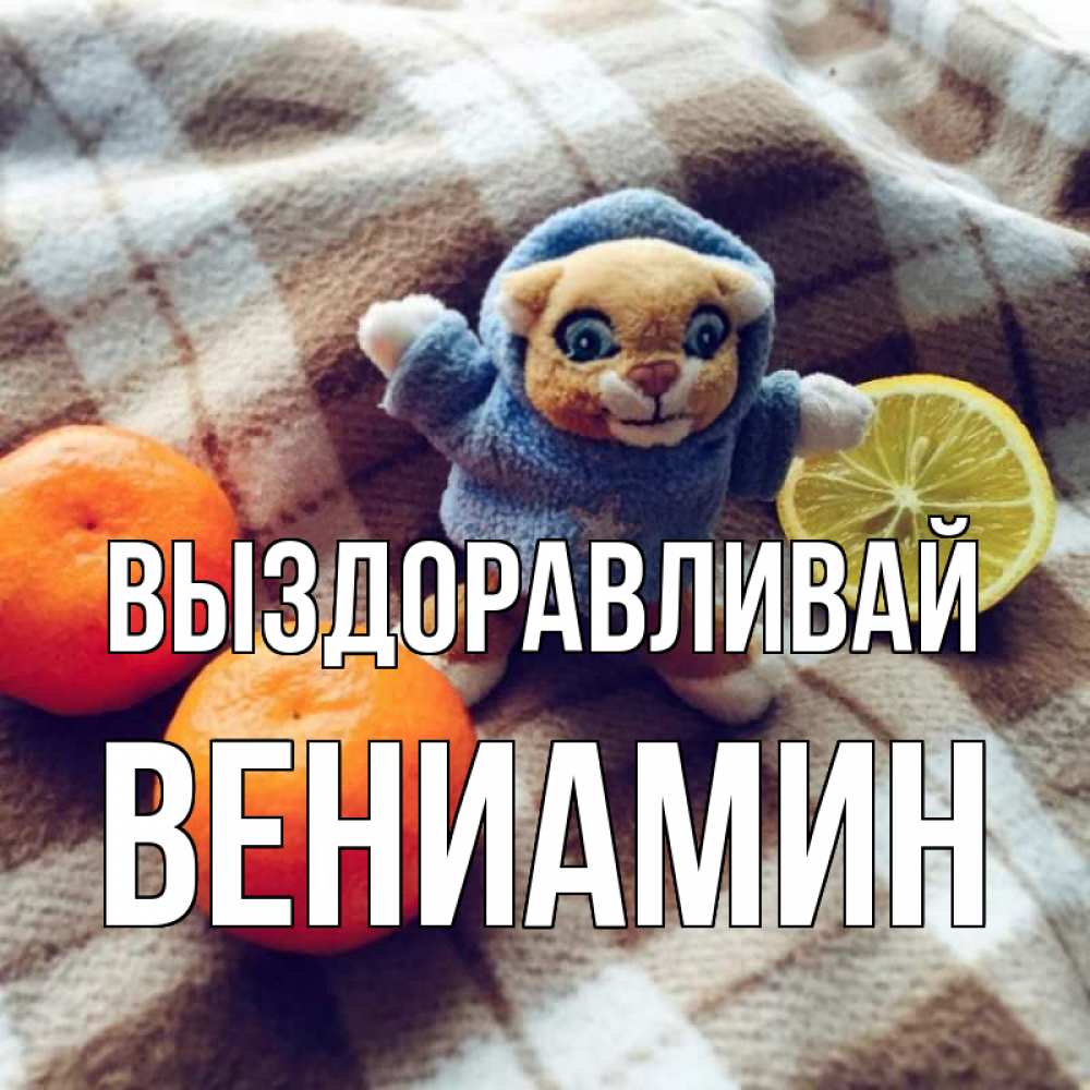 Открытка на каждый день с именем, Вениамин Выздоравливай вот тебе апельсинка и лимон Прикольная открытка с пожеланием онлайн скачать бесплатно 