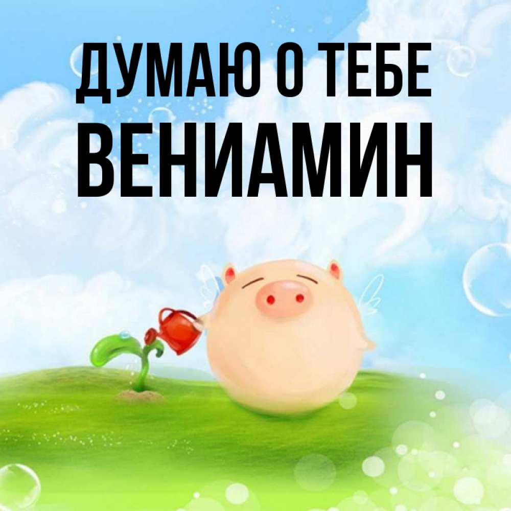 Открытка на каждый день с именем, Вениамин Думаю о тебе позитивная свинюшка Прикольная открытка с пожеланием онлайн скачать бесплатно 