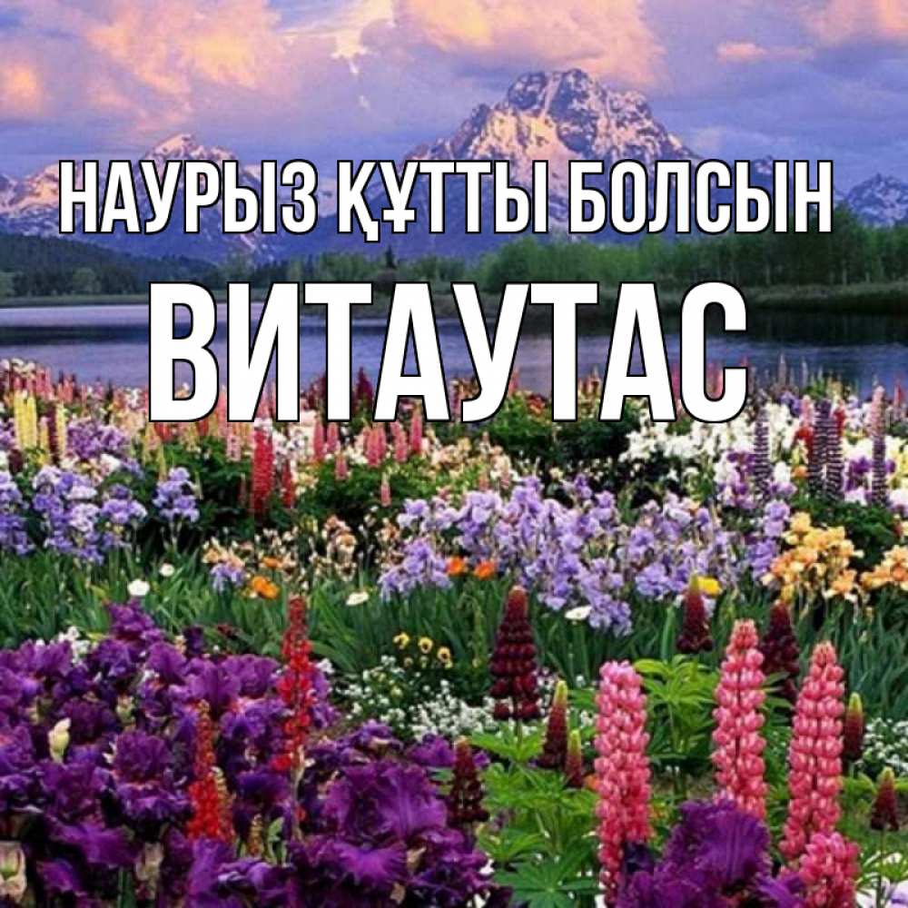 Открытка на каждый день с именем, Витаутас Наурыз құтты болсын наурыз Прикольная открытка с пожеланием онлайн скачать бесплатно 