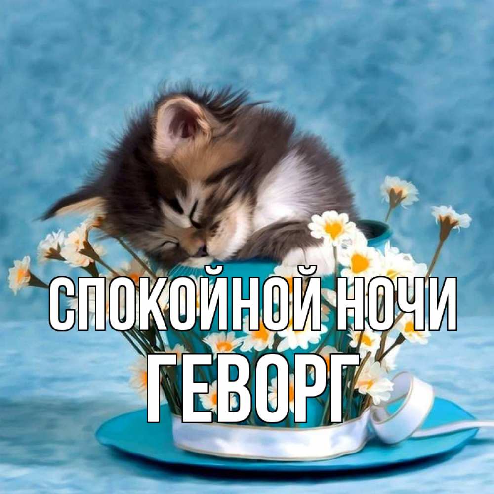 Открытка на каждый день с именем, Геворг Спокойной ночи котенок спит в кружке с блюдцем Прикольная открытка с пожеланием онлайн скачать бесплатно 