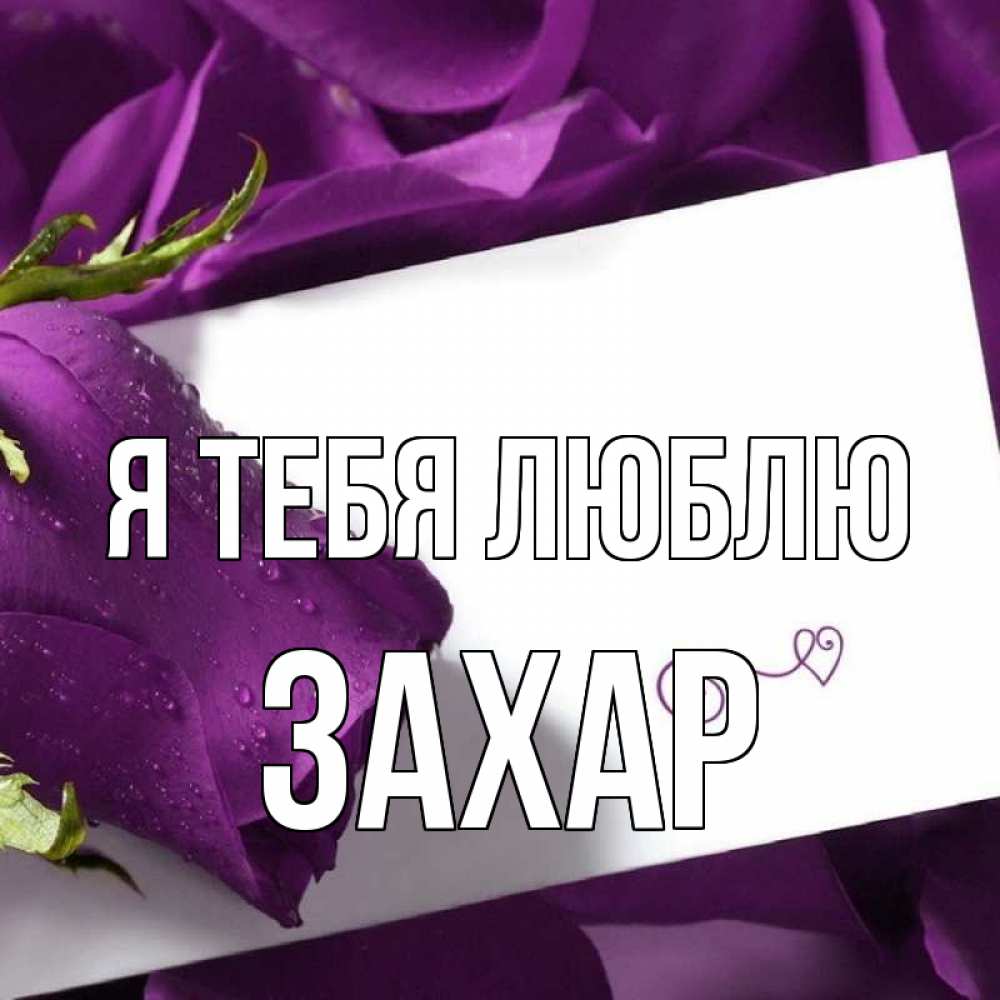 Открытка на каждый день с именем, Захар Я тебя люблю роза Прикольная открытка с пожеланием онлайн скачать бесплатно 