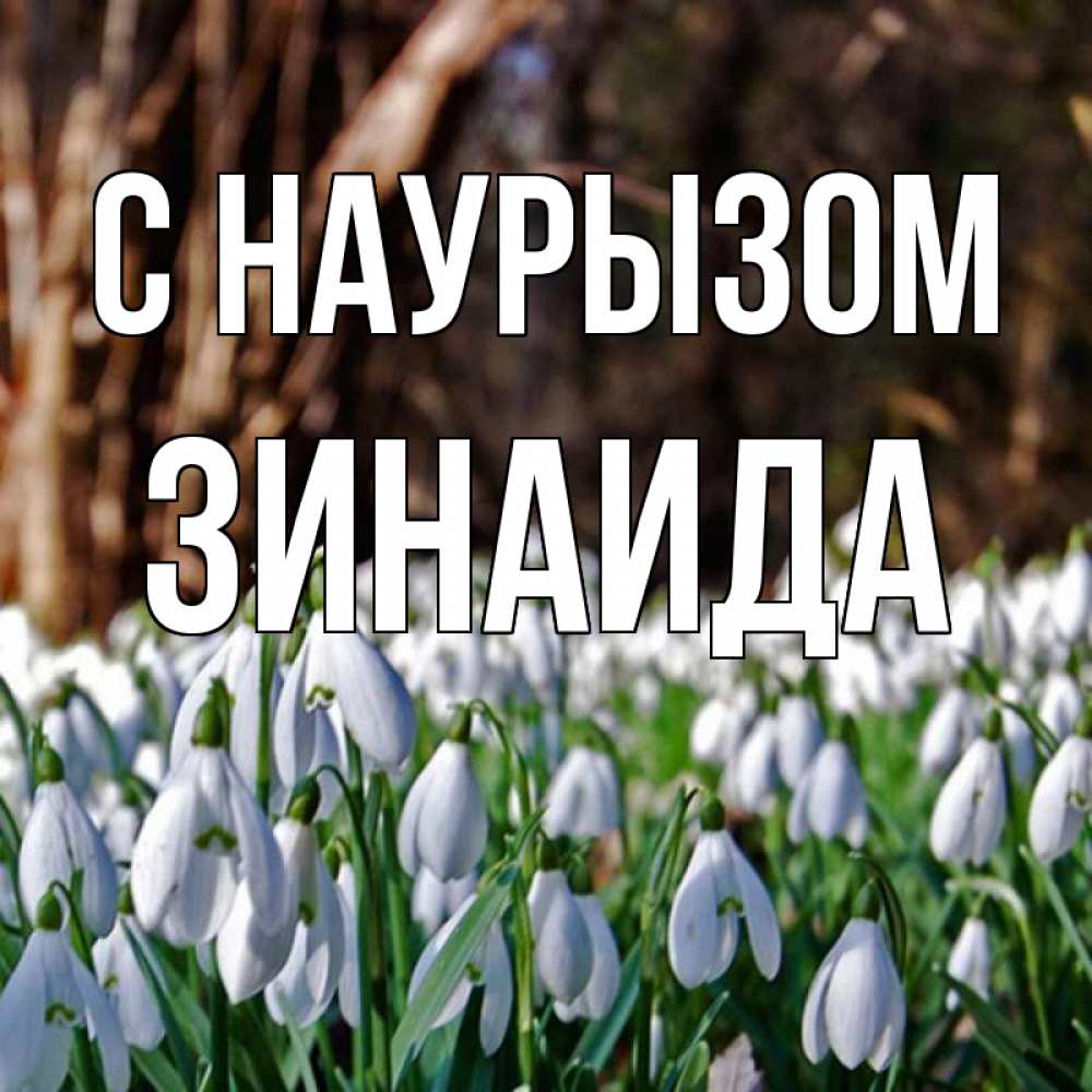 Открытка на каждый день с именем, Зинаида С наурызом с подснежниками 1 Прикольная открытка с пожеланием онлайн скачать бесплатно 
