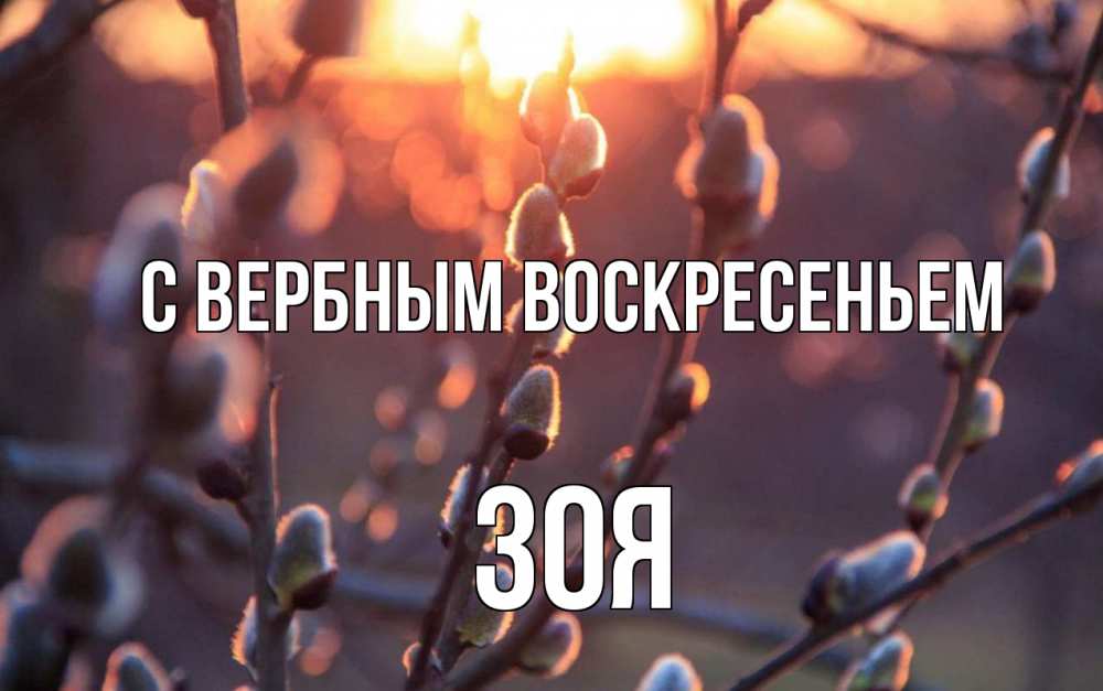 Открытка на каждый день с именем, Зоя С вербным воскресеньем верба Прикольная открытка с пожеланием онлайн скачать бесплатно 