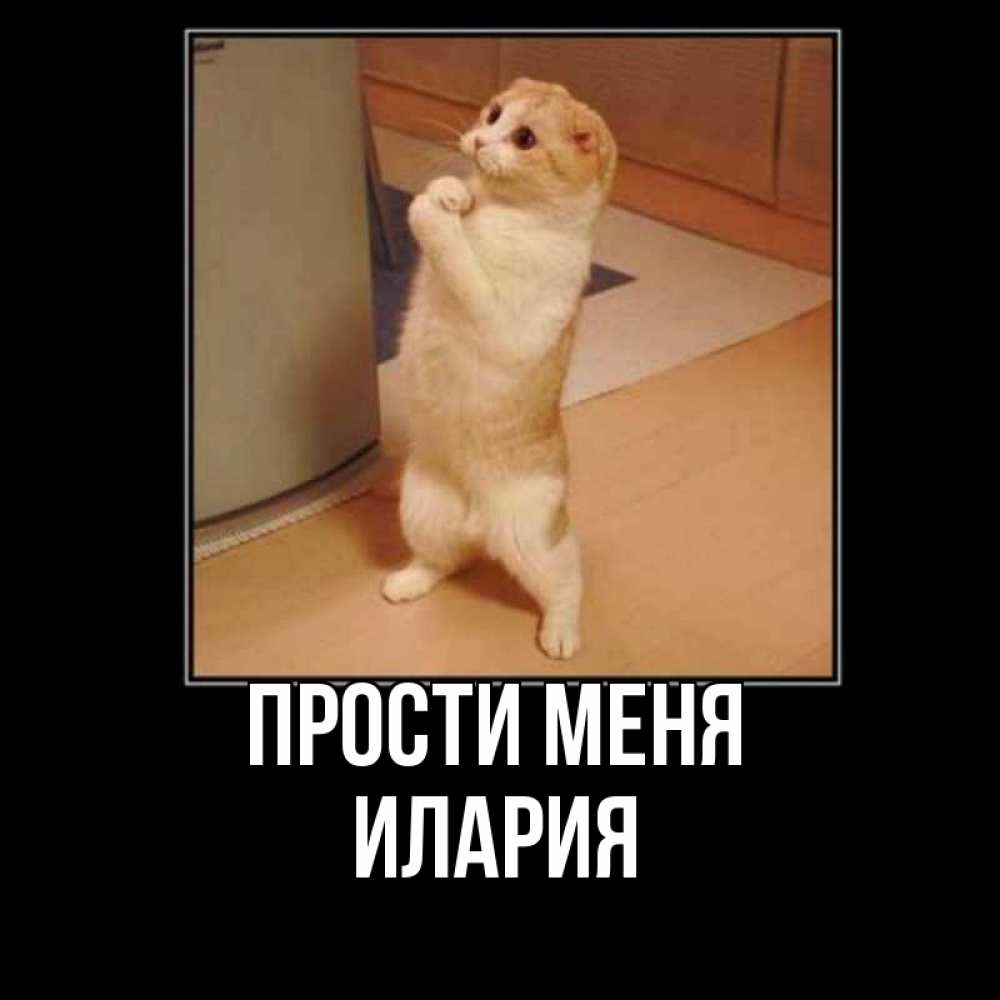 Открытка на каждый день с именем, Илария Прости меня открытка с милым несчастным котиком просящим прощения Прикольная открытка с пожеланием онлайн скачать бесплатно 
