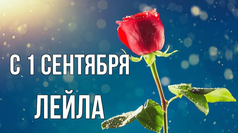 Открытка на каждый день с именем, Лейла С 1 сентября с днем знаний Прикольная открытка с пожеланием онлайн скачать бесплатно 