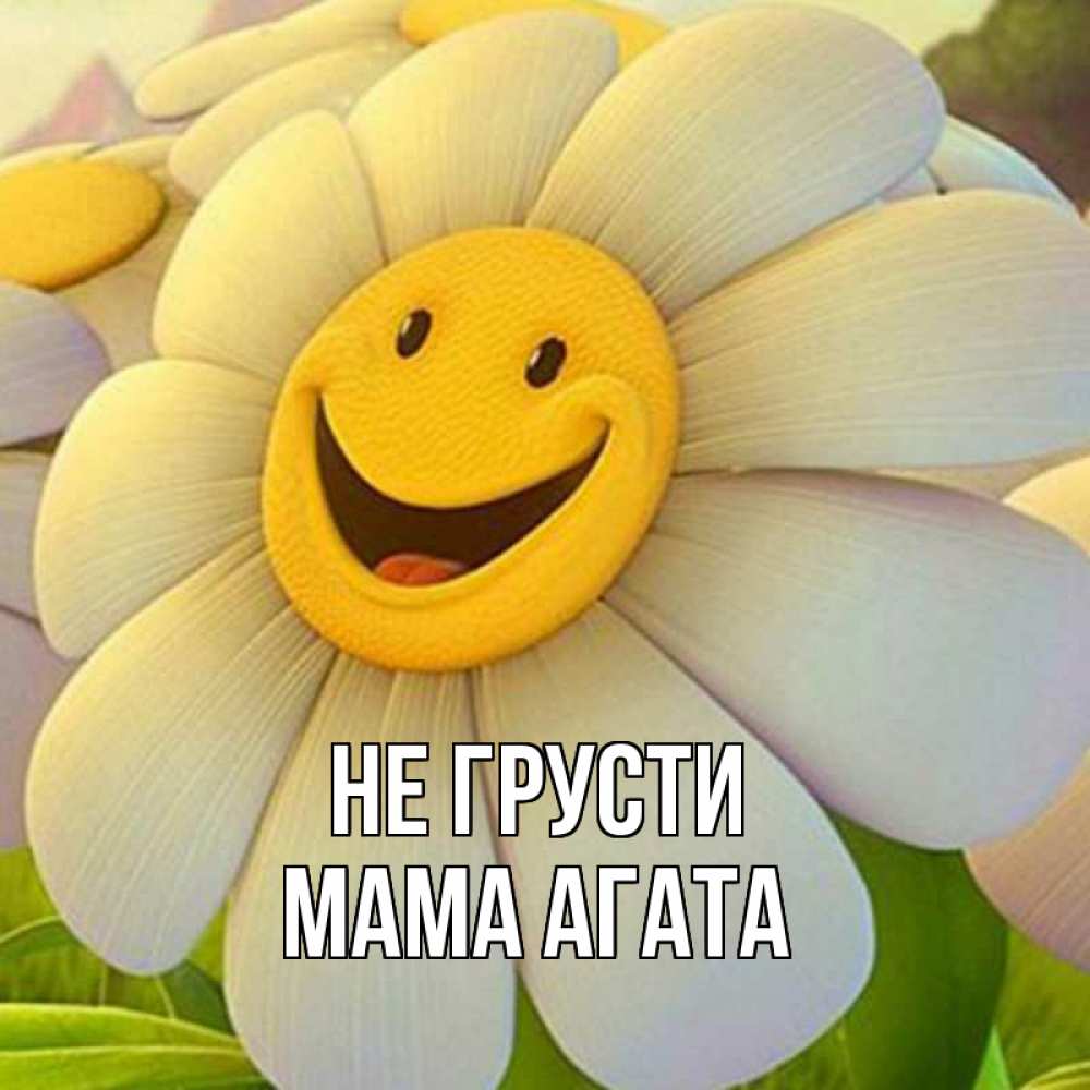 Открытка на каждый день с именем, Мама-Агата Не грусти огромная улыбающаяся ромашуща Прикольная открытка с пожеланием онлайн скачать бесплатно 