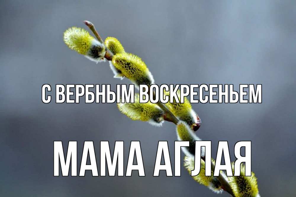 Открытка на каждый день с именем, Мама-Аглая С вербным воскресеньем верба Прикольная открытка с пожеланием онлайн скачать бесплатно 