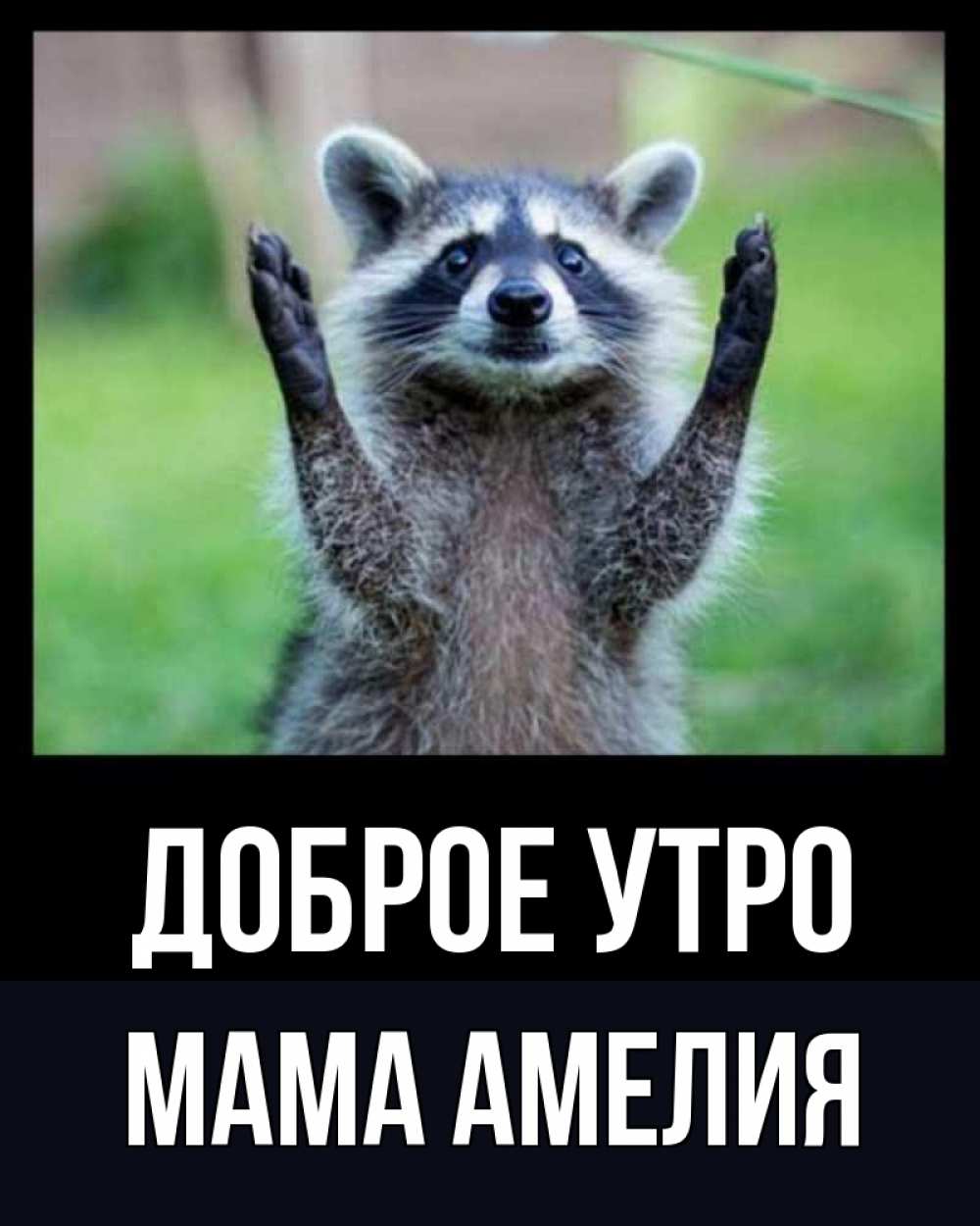 Открытка на каждый день с именем, Мама-Амелия Доброе утро хорошее настроение утречком Прикольная открытка с пожеланием онлайн скачать бесплатно 