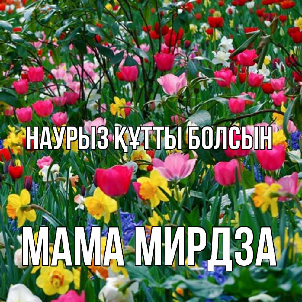 Открытка на каждый день с именем, Мама-Мирдза Наурыз құтты болсын с наурызом поздравления для женщины Прикольная открытка с пожеланием онлайн скачать бесплатно 