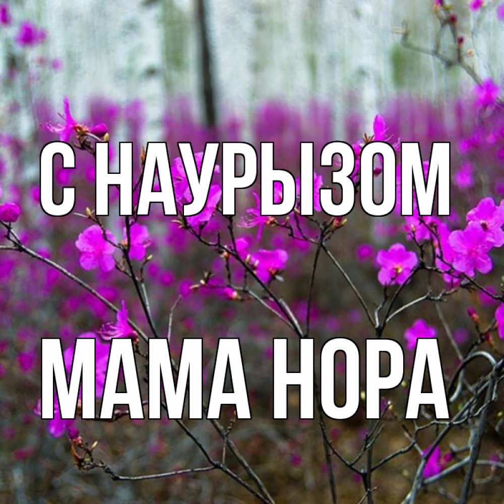 Открытка на каждый день с именем, Мама-Нора С наурызом дикие цветы Прикольная открытка с пожеланием онлайн скачать бесплатно 