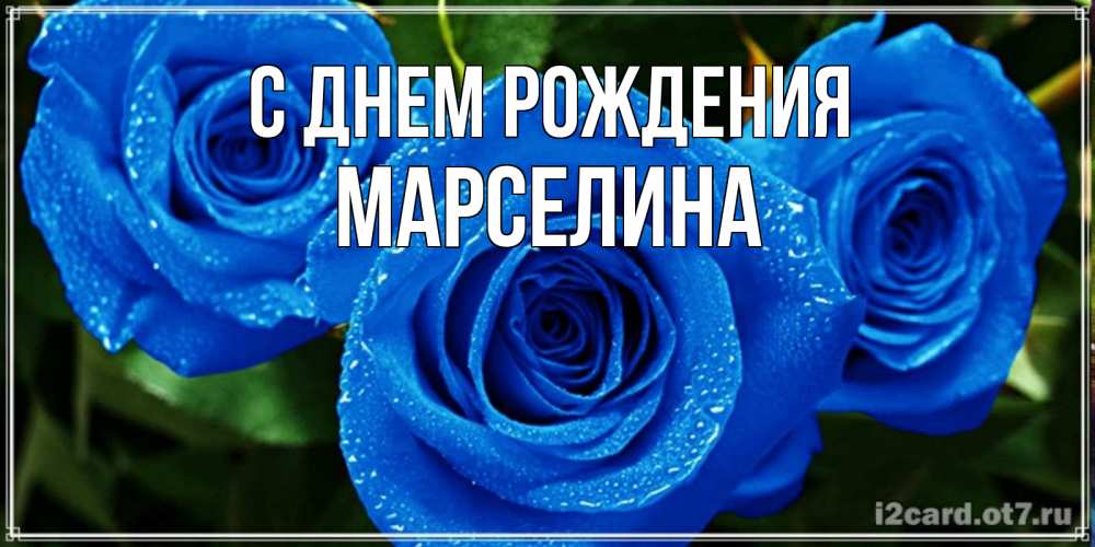 Открытка на каждый день с именем, Марселина С днем рождения розы с синим цветом Прикольная открытка с пожеланием онлайн скачать бесплатно 