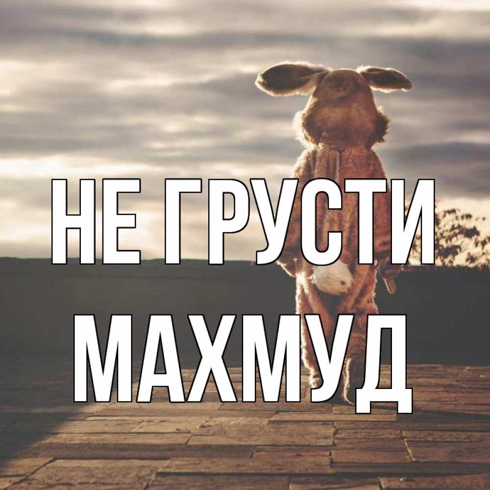 Открытка на каждый день с именем, Махмуд Не грусти со спины Прикольная открытка с пожеланием онлайн скачать бесплатно 