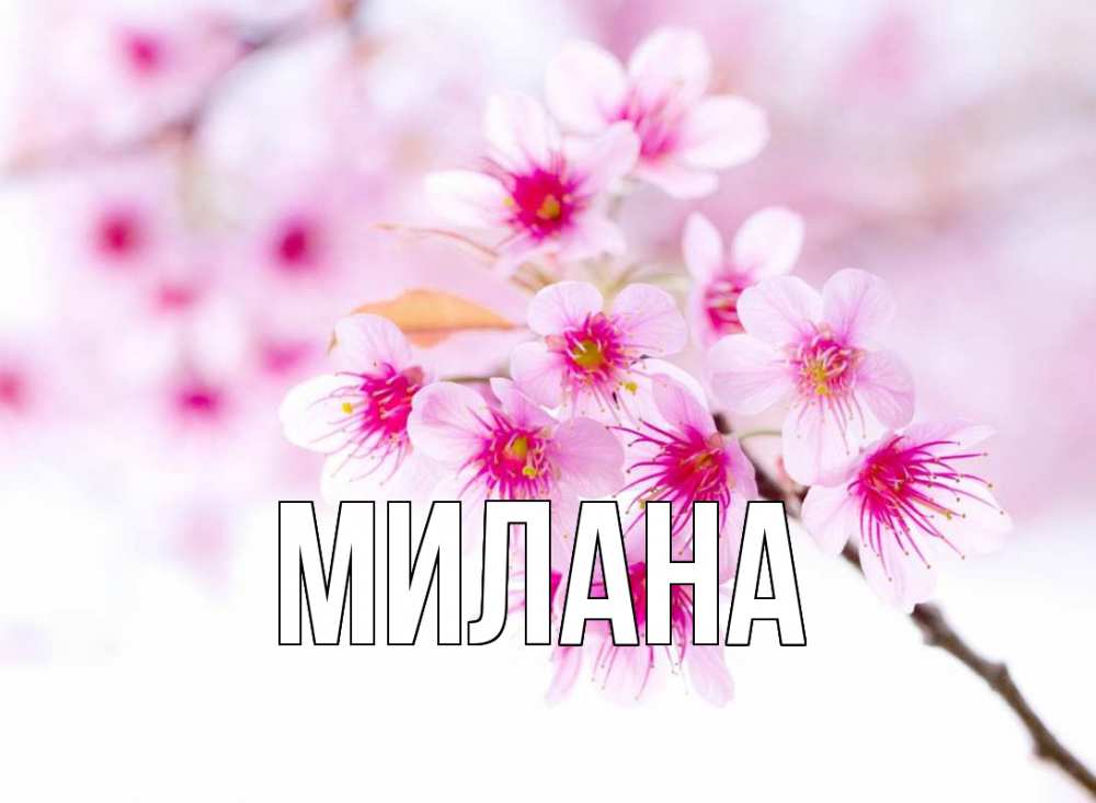 Открытка на каждый день с именем, Милана Главная С 1 мая 2 Прикольная открытка с пожеланием онлайн скачать бесплатно 