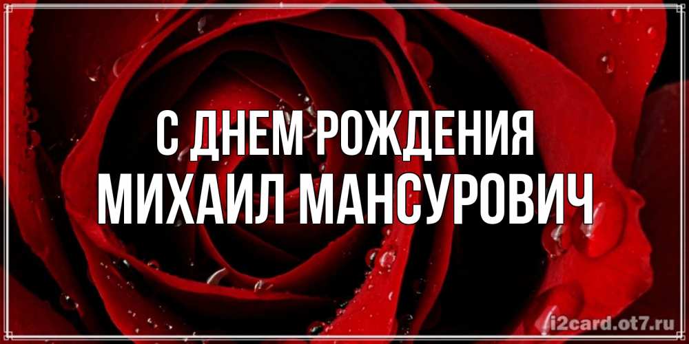 Открытка на каждый день с именем, Михаил-Мансурович С днем рождения крупная бордовая роза Прикольная открытка с пожеланием онлайн скачать бесплатно 