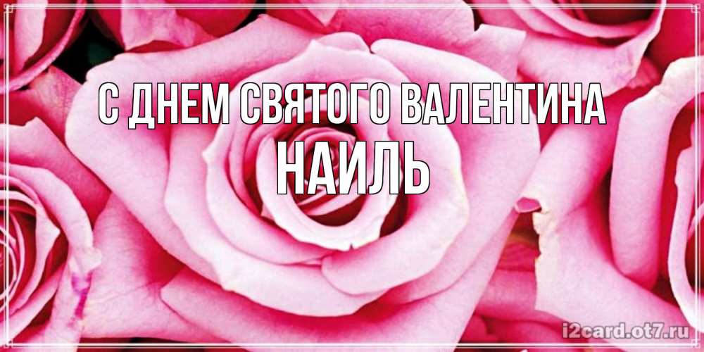 Открытка на каждый день с именем, Наиль С днем Святого Валентина роза розовая на день Святого Валентина Прикольная открытка с пожеланием онлайн скачать бесплатно 