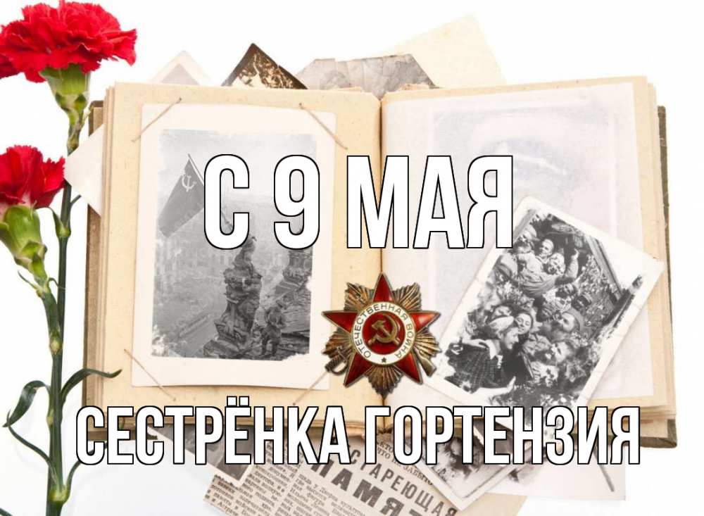 Открытка на каждый день с именем, Сестрёнка-Гортензия С 9 мая 9 мая Прикольная открытка с пожеланием онлайн скачать бесплатно 