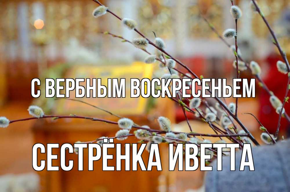 Открытка на каждый день с именем, Сестрёнка-Иветта С вербным воскресеньем верба Прикольная открытка с пожеланием онлайн скачать бесплатно 