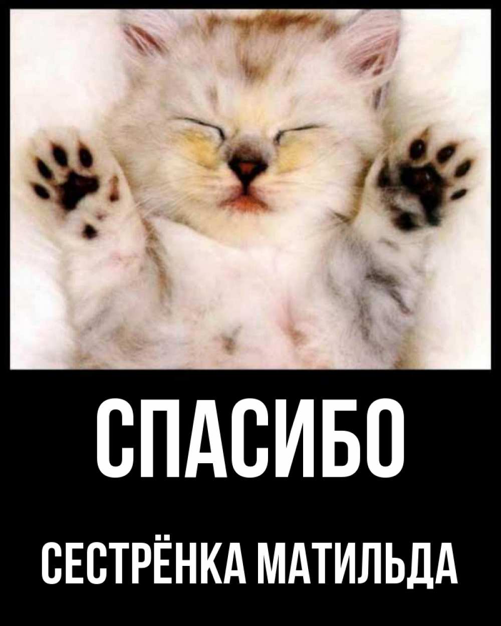 Открытка на каждый день с именем, Сестрёнка-Матильда Спасибо маленький котенок Прикольная открытка с пожеланием онлайн скачать бесплатно 