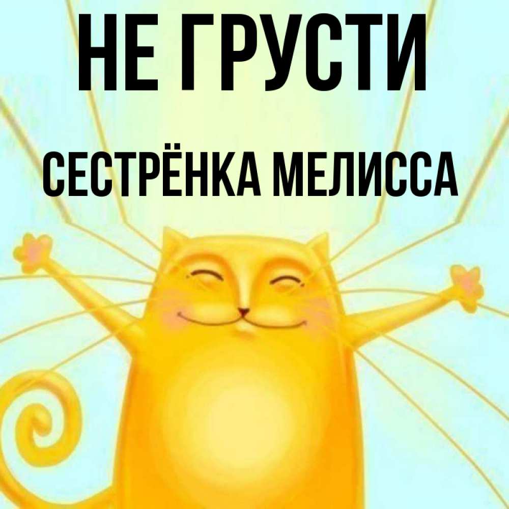 Открытка на каждый день с именем, Сестрёнка-Мелисса Не грусти обнимашки усатые Прикольная открытка с пожеланием онлайн скачать бесплатно 