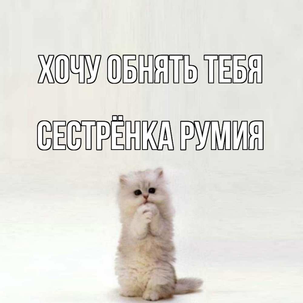 Открытка на каждый день с именем, Сестрёнка-Румия Хочу обнять тебя открытки с креативными подписями Прикольная открытка с пожеланием онлайн скачать бесплатно 