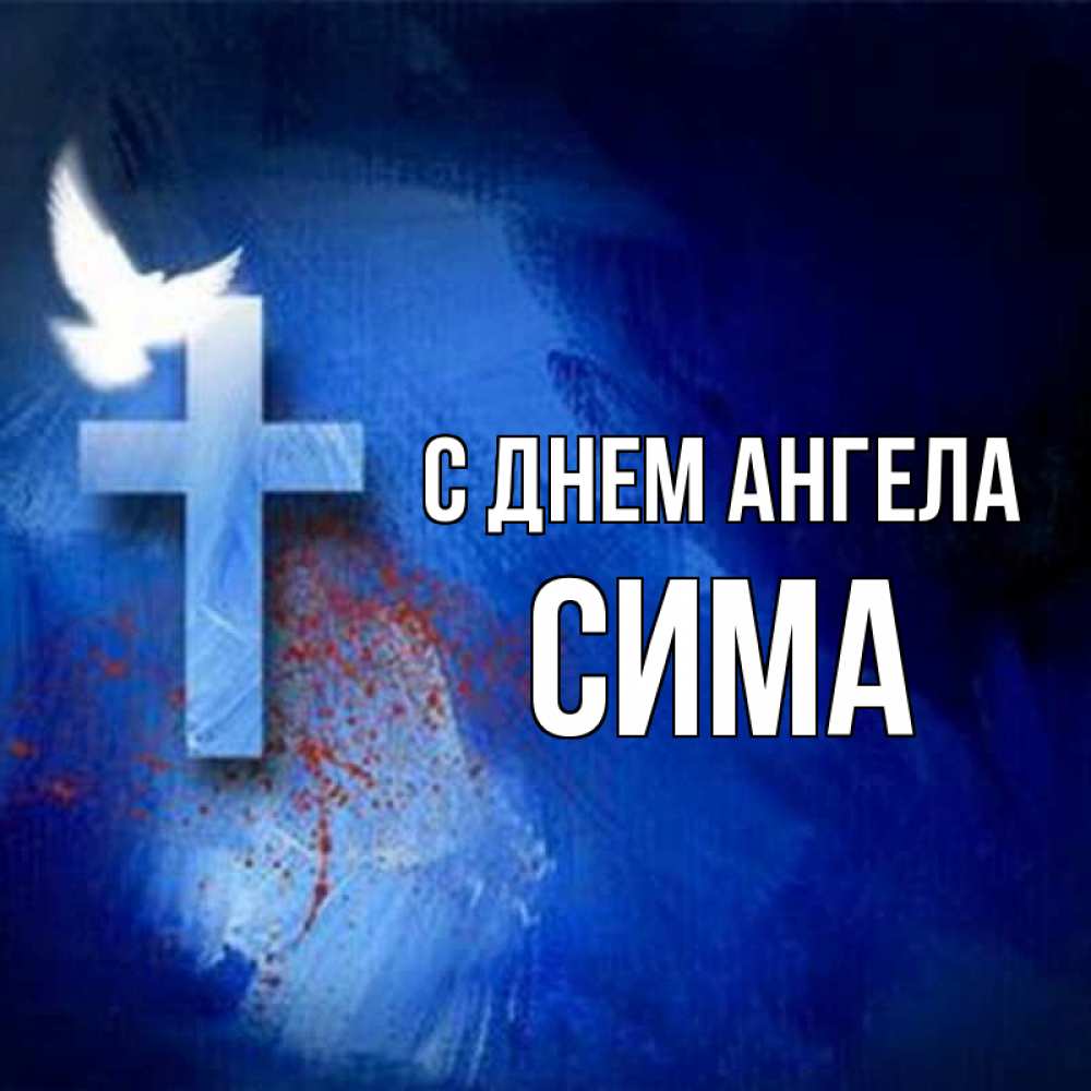 Открытка на каждый день с именем, Сима С днем ангела Синий фон и птица Прикольная открытка с пожеланием онлайн скачать бесплатно 