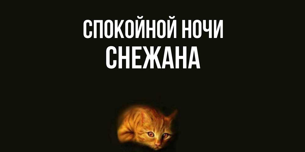 Открытка на каждый день с именем, Снежана Спокойной ночи кот Прикольная открытка с пожеланием онлайн скачать бесплатно 