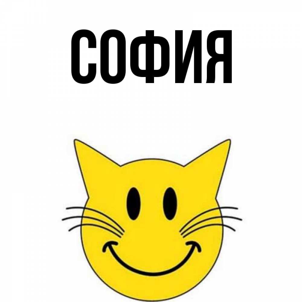 Открытка на каждый день с именем, София Главная улыбающийся смайл кот Прикольная открытка с пожеланием онлайн скачать бесплатно 