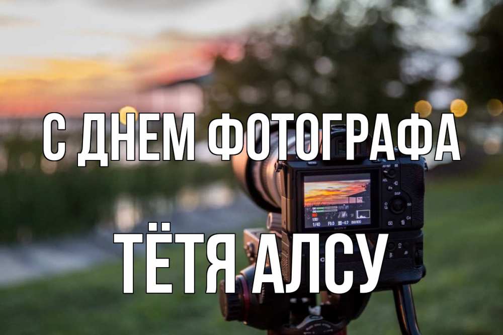 Открытка на каждый день с именем, Тётя-Алсу С днем фотографа с днем фотографа Прикольная открытка с пожеланием онлайн скачать бесплатно 
