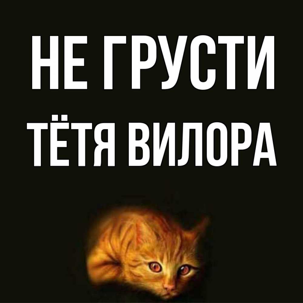 Открытка на каждый день с именем, Тётя-Вилора Не грусти лежащий кот в темноте Прикольная открытка с пожеланием онлайн скачать бесплатно 