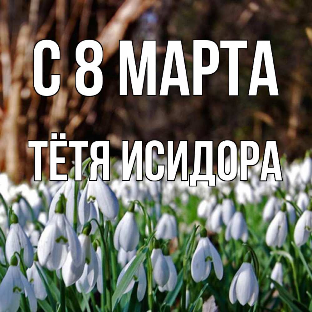 Открытка на каждый день с именем, Тётя-Исидора С 8 МАРТА с подснежниками 1 Прикольная открытка с пожеланием онлайн скачать бесплатно 