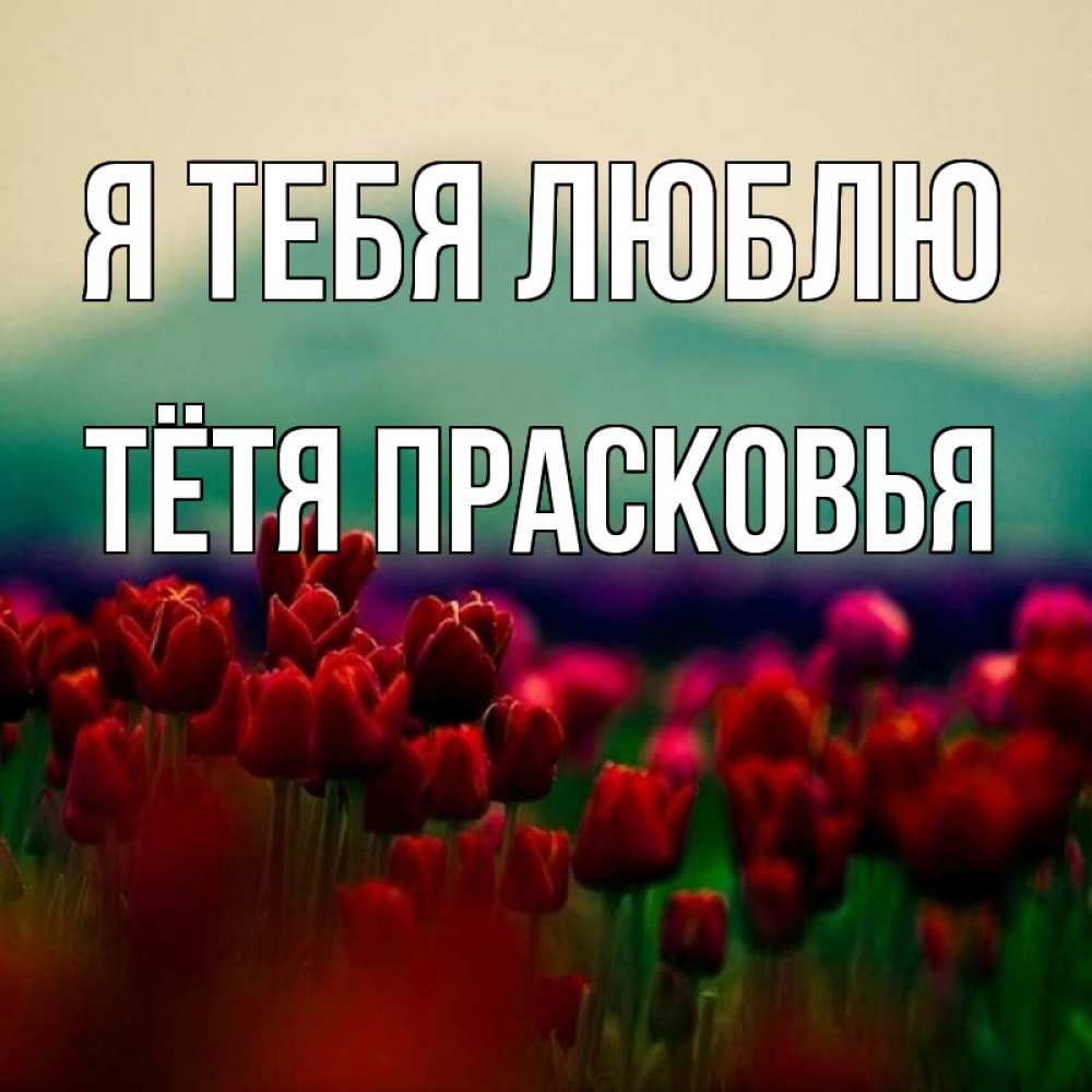 Открытка на каждый день с именем, Тётя-Прасковья Я тебя люблю тюльпаны 4 Прикольная открытка с пожеланием онлайн скачать бесплатно 