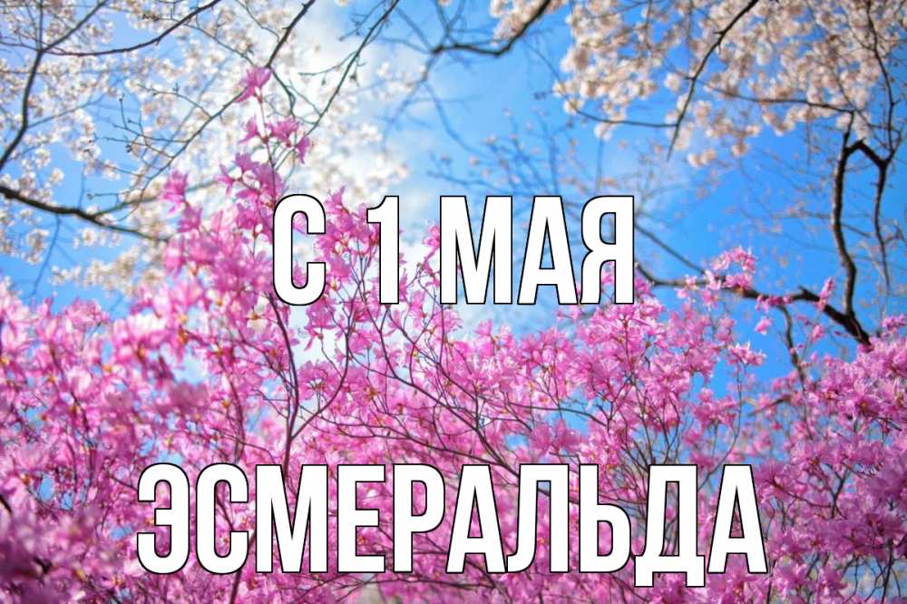 Открытка на каждый день с именем, Эсмеральда С 1 мая С 1 мая Прикольная открытка с пожеланием онлайн скачать бесплатно 