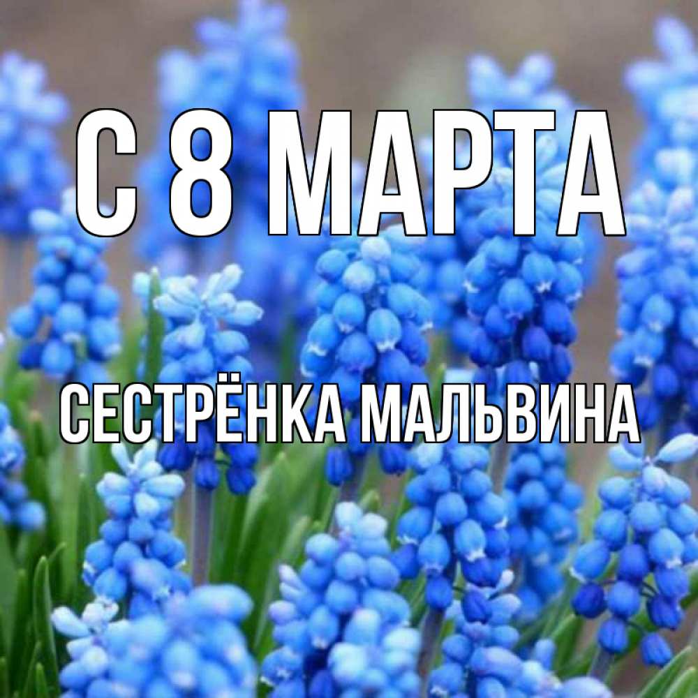 Открытка на каждый день с именем, Сестрёнка-Мальвина С 8 МАРТА Поздравительная открытка для женщин с цветами на праздничную дату Прикольная открытка с пожеланием онлайн скачать бесплатно 