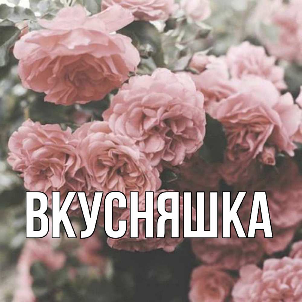 Открытка на каждый день с именем, Вкусняшка Главная розы 3 Прикольная открытка с пожеланием онлайн скачать бесплатно 