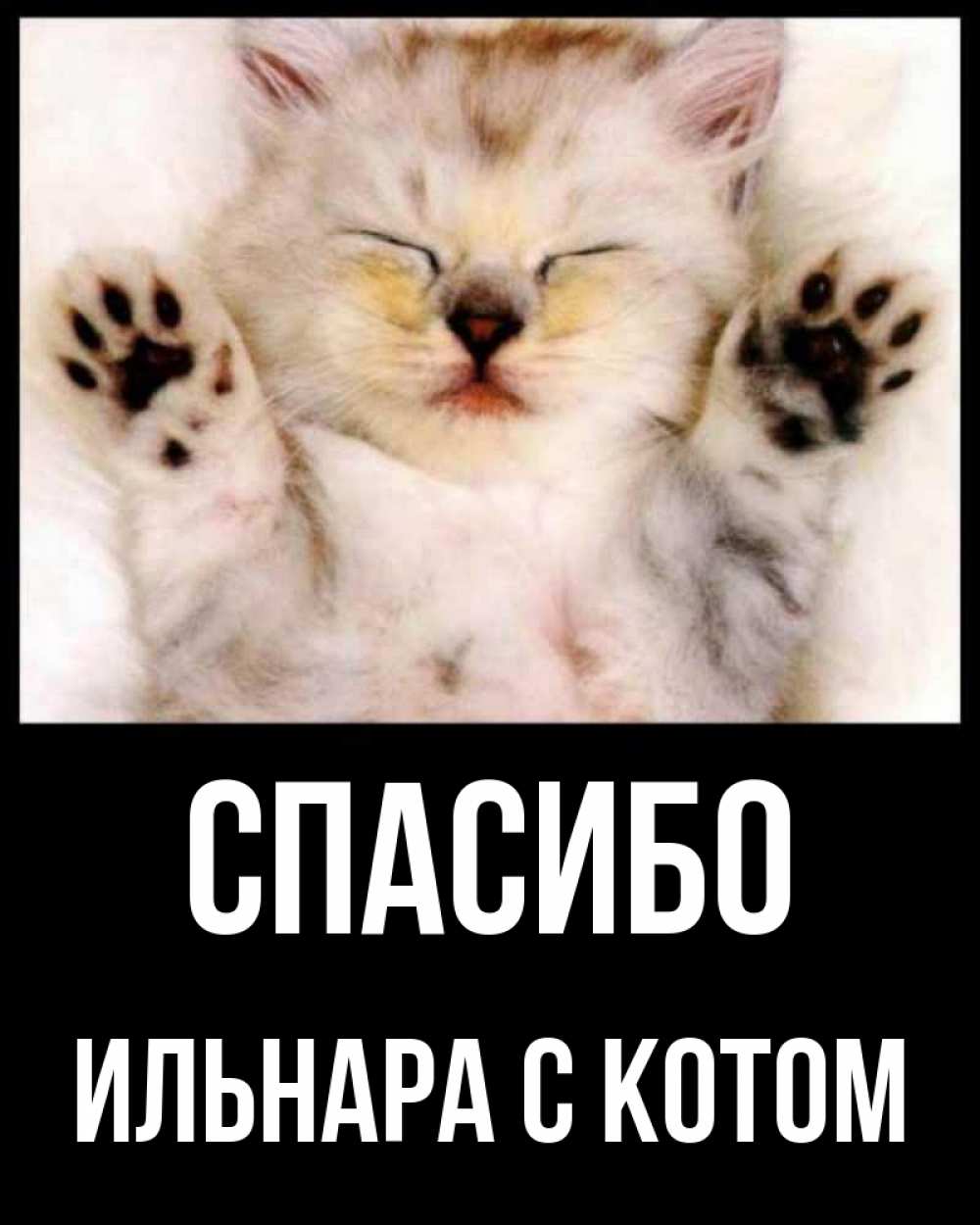 Открытка спасибо с котиком