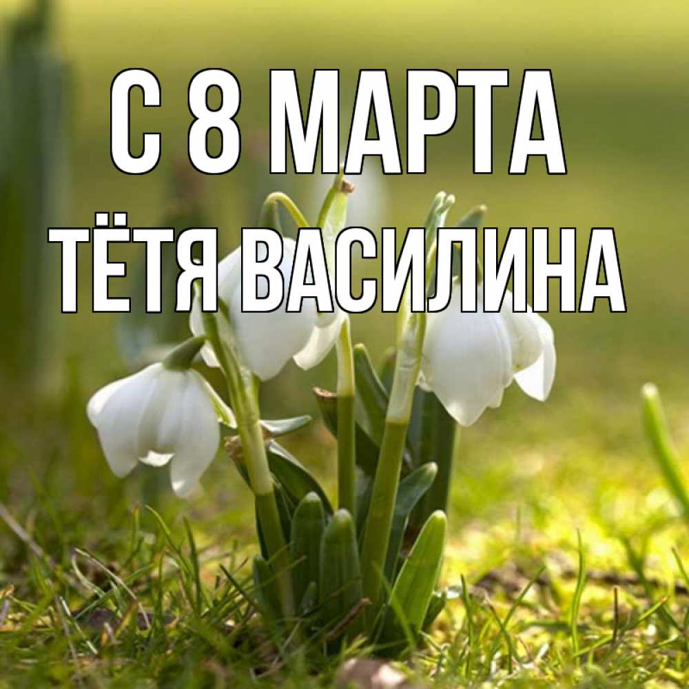 Открытка на каждый день с именем, Тётя-Василина С 8 МАРТА ранние цветы 2 Прикольная открытка с пожеланием онлайн скачать бесплатно 