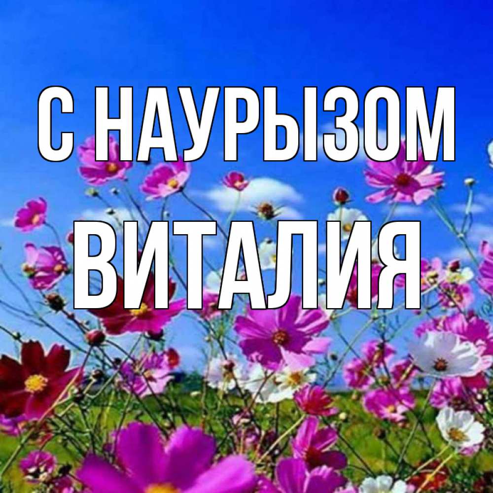 Открытка на каждый день с именем, Виталия С наурызом цветы Прикольная открытка с пожеланием онлайн скачать бесплатно 