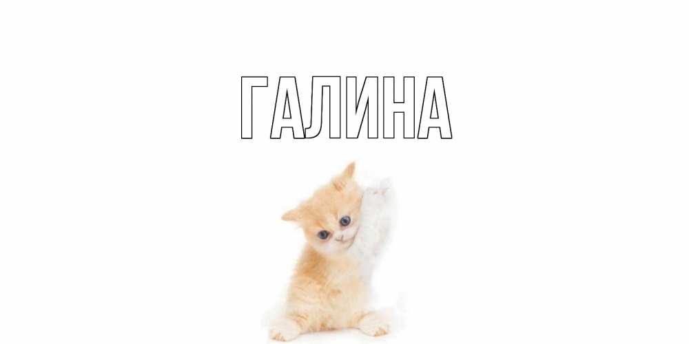 Открытка на каждый день с именем, Галина Главная кот Прикольная открытка с пожеланием онлайн скачать бесплатно 