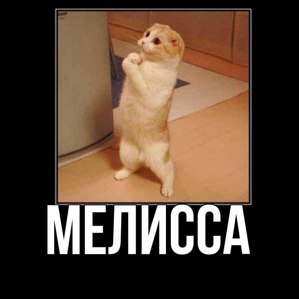 Картинка  с именем , Мелисса