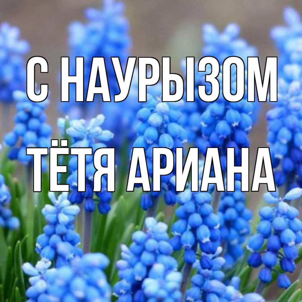 Открытка на каждый день с именем, Тётя-Ариана С наурызом Поздравительная открытка для женщин с цветами на праздничную дату Прикольная открытка с пожеланием онлайн скачать бесплатно 