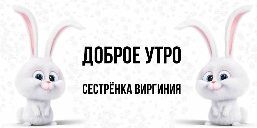 Открытка на каждый день с именем, Сестрёнка-Виргиния Доброе утро кролики с длинными ушками Прикольная открытка с пожеланием онлайн скачать бесплатно 