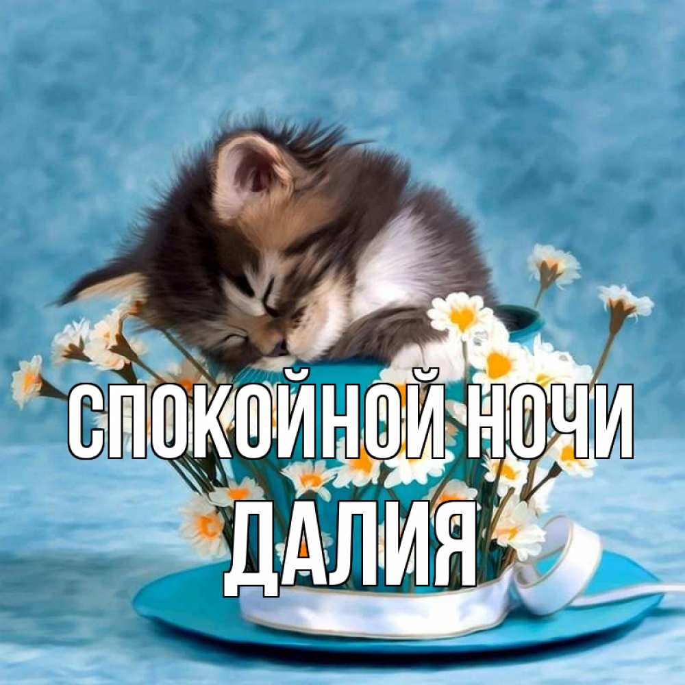 Открытка на каждый день с именем, Далия Спокойной ночи котенок спит в кружке с блюдцем Прикольная открытка с пожеланием онлайн скачать бесплатно 