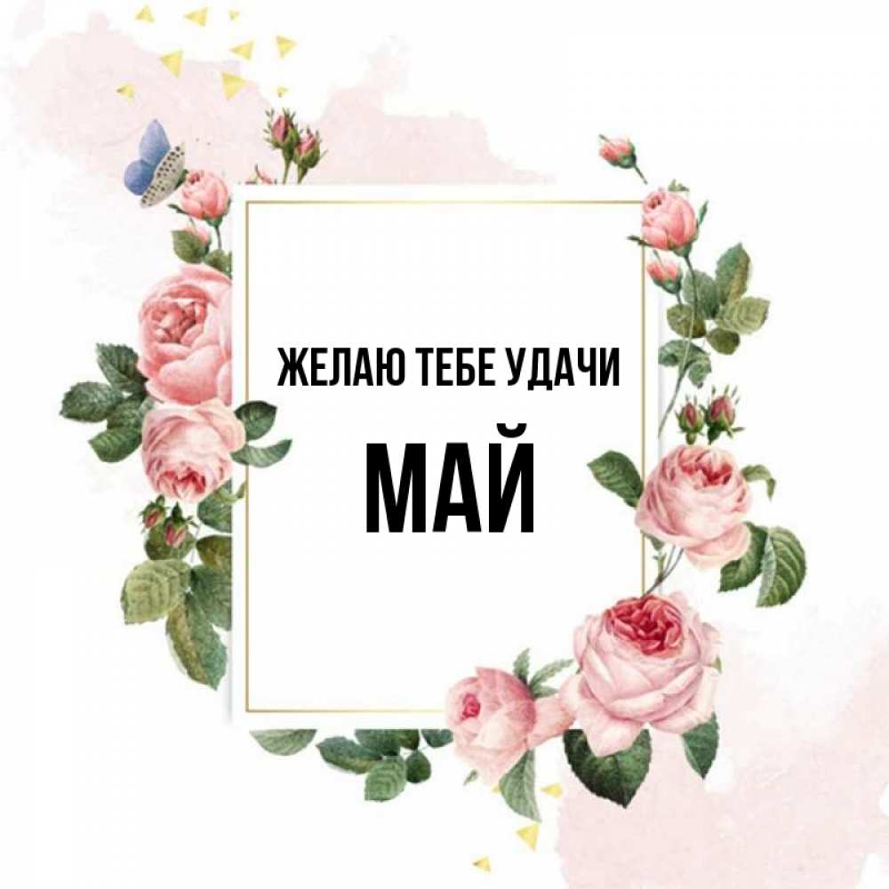 Открытка на каждый день с именем, Май Желаю тебе удачи розовые розы Прикольная открытка с пожеланием онлайн скачать бесплатно 