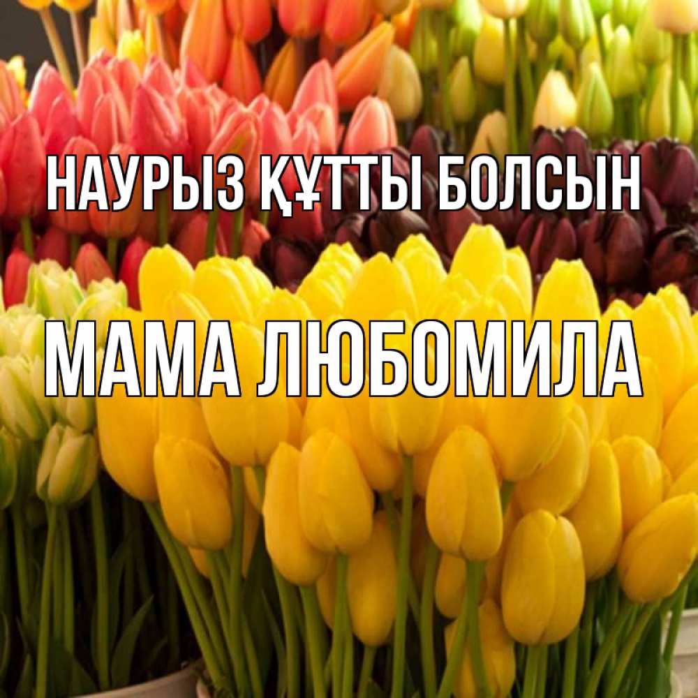 Открытка на каждый день с именем, Мама-Любомила Наурыз құтты болсын цветы Прикольная открытка с пожеланием онлайн скачать бесплатно 