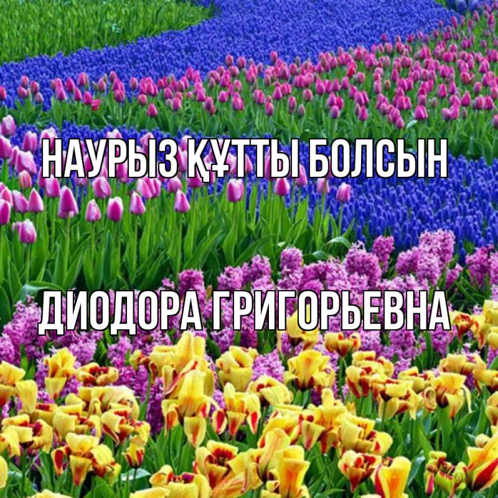 Открытка с именем, Диодора Григорьевна, Наурыз құтты болсын